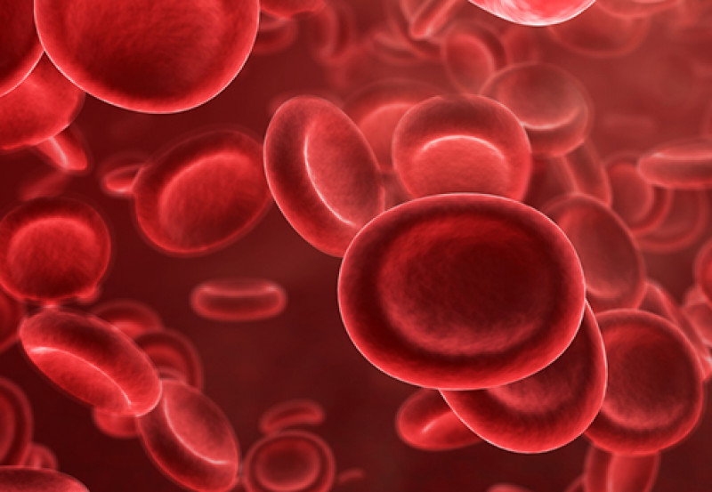Reducing the use of blood for better patient outcomes