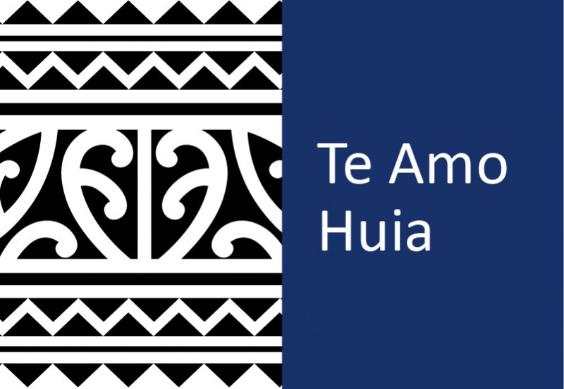 Te Amo Huia - Bridging the gap and leading the way