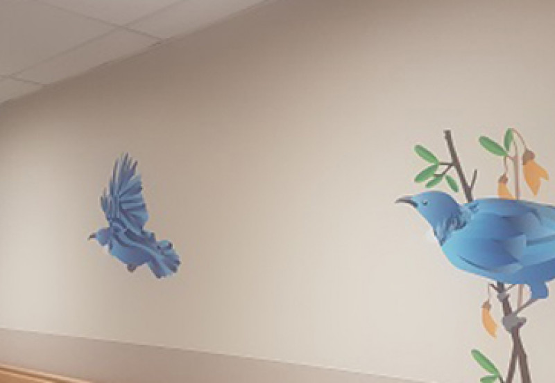  Tui and his friends visit Middlemore Hospital’s MRI 